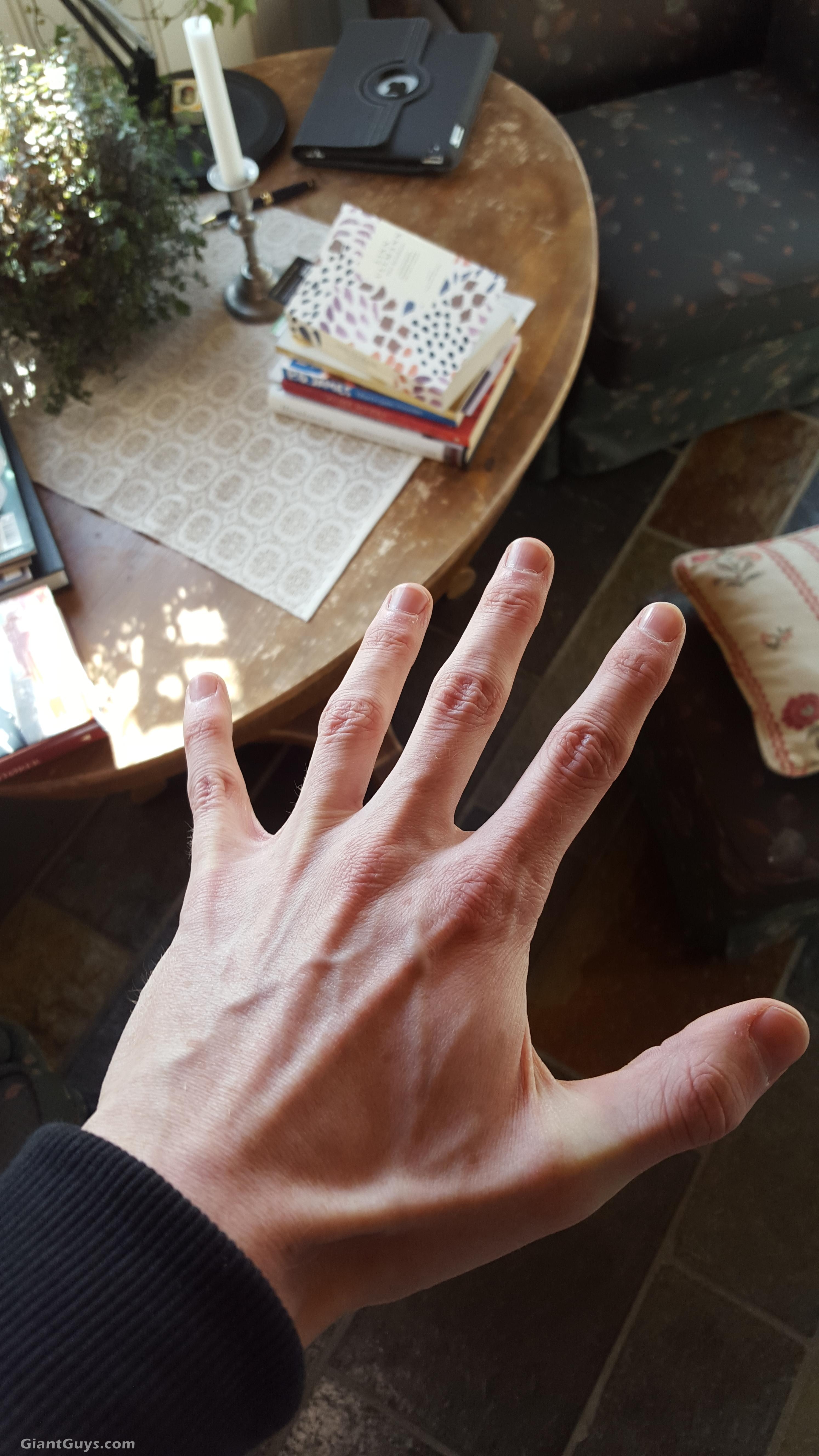 hand 6'8 ginger  